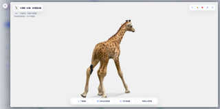 高清截图:带动作3D模型下载-长颈鹿(幼崽)