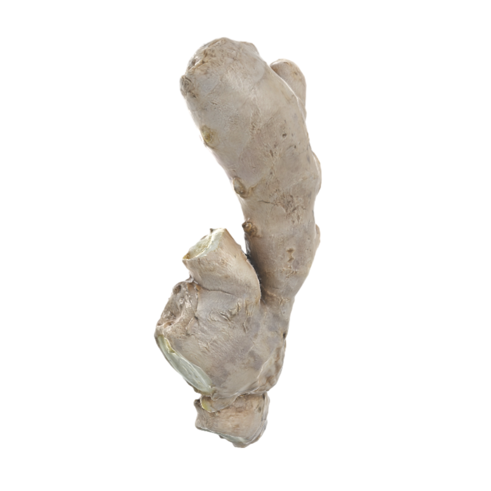 生姜3D黄姜AR草本植物模型 | AR,植物模型,草本植物,姜,生姜,黄姜,3D模型,3D打印,3D素材,obj,glTF,fbx,dae,stl,3ds,glb,usdz,3dmax,blender模型,VisionPro,3D建模,3D扫描,3d打印模型