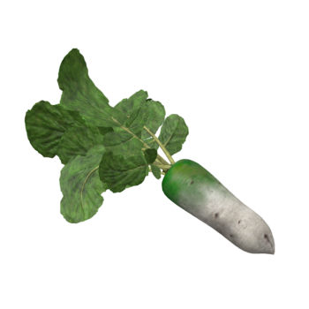 萝卜高清3D模型AR蔬菜模型白萝卜