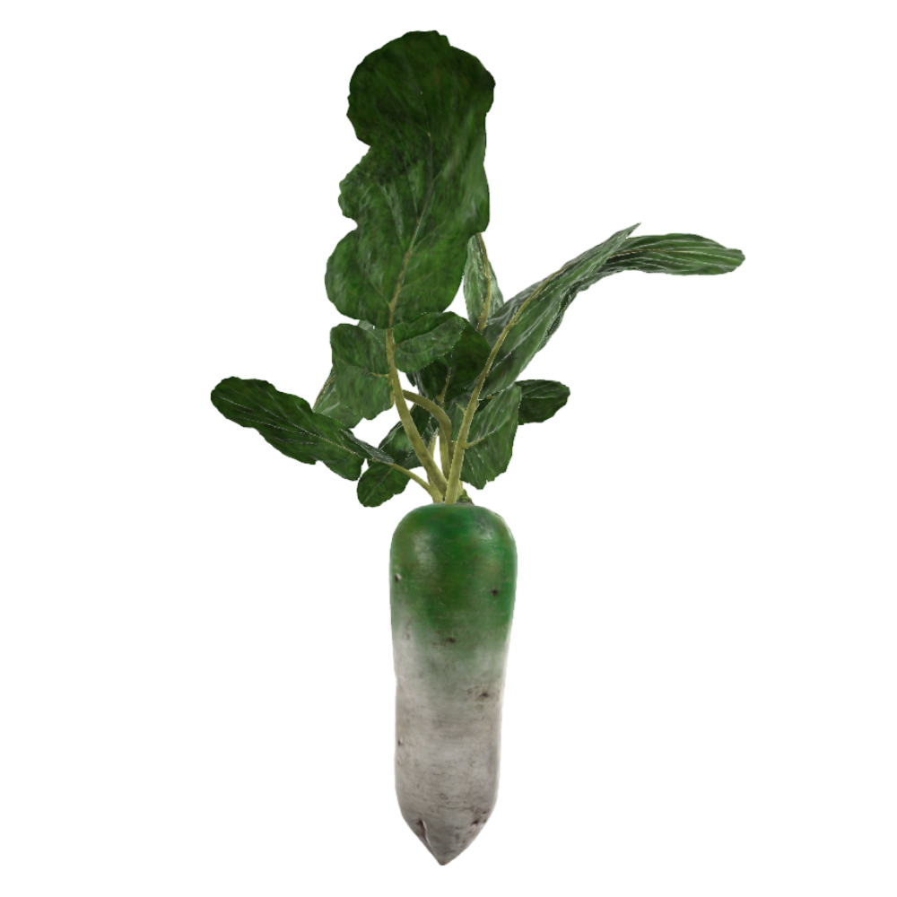 萝卜高清3D模型AR蔬菜模型白萝卜 | AR模型,蔬菜,植物,萝卜,白萝卜,高清3D,3D模型,3D打印,3D素材,obj,glTF,fbx,dae,stl,3ds,glb,usdz,3dmax,blender模型,VisionPro,3D建模,3D扫描,3d打印模型