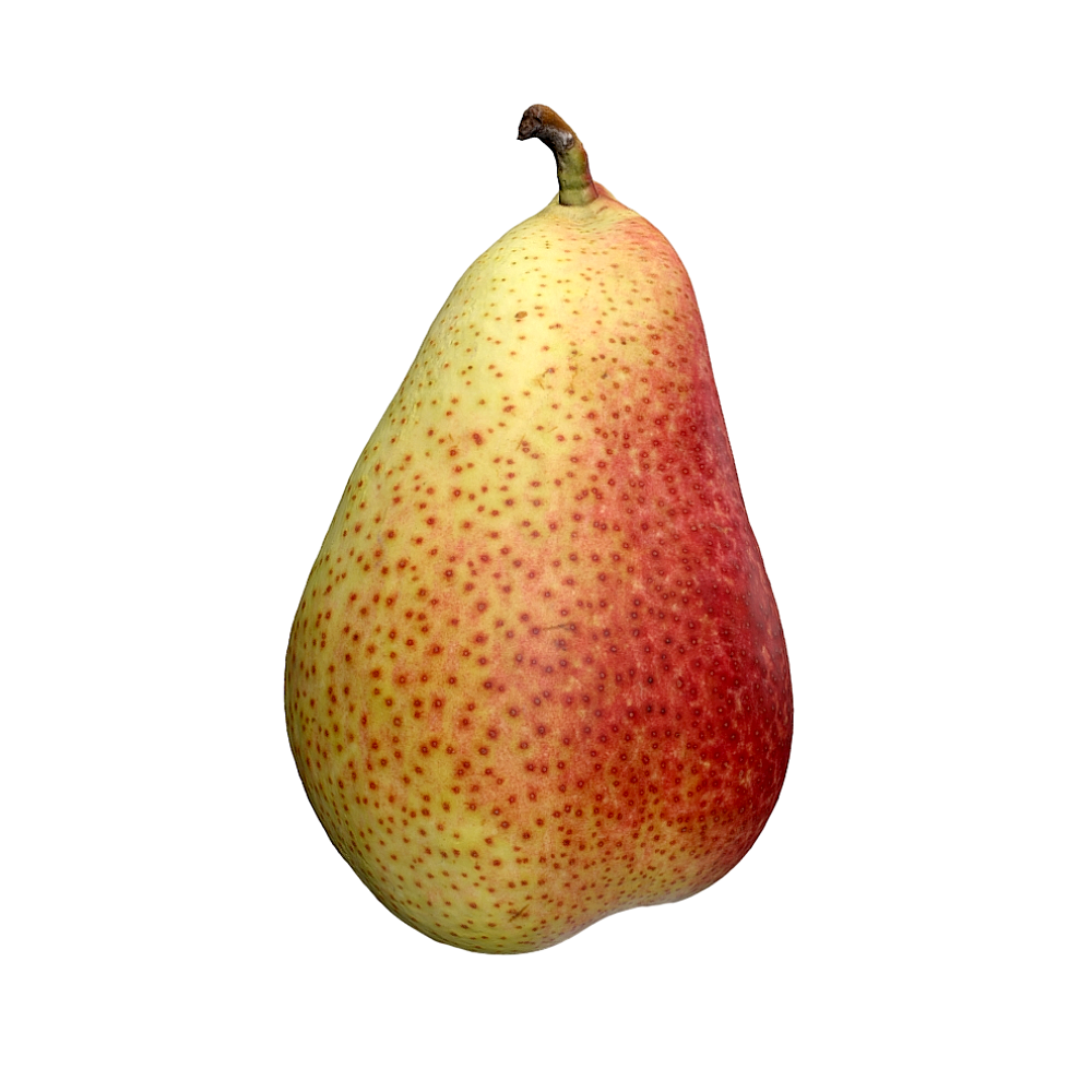 梨子 | 3D扫描,水果,梨子3D模型,梨子,3D水果模型,AR水果,雪梨,3D模型,3D打印,3D素材,obj,glTF,fbx,dae,stl,3ds,glb,usdz,3dmax,blender模型,VisionPro,3D建模,3D扫描,3d打印模型