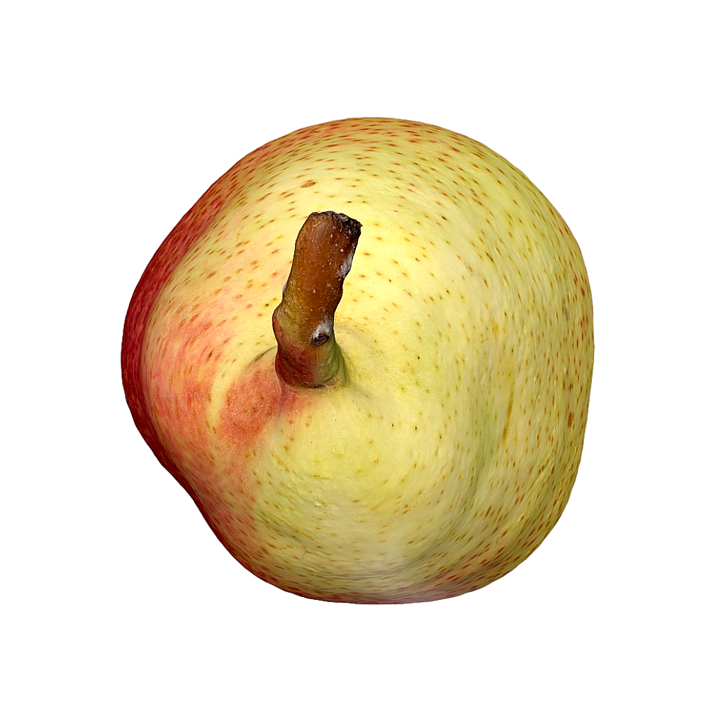 梨子 | 3D扫描,水果,梨子3D模型,梨子,3D水果模型,AR水果,雪梨,3D模型,3D打印,3D素材,obj,glTF,fbx,dae,stl,3ds,glb,usdz,3dmax,blender模型,VisionPro,3D建模,3D扫描,3d打印模型