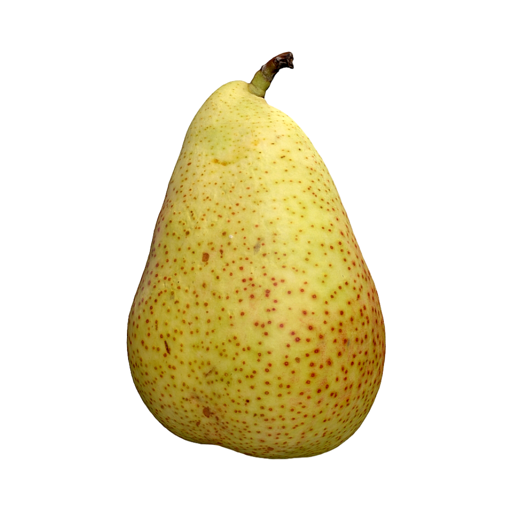 梨子 | 3D扫描,水果,梨子3D模型,梨子,3D水果模型,AR水果,雪梨,3D模型,3D打印,3D素材,obj,glTF,fbx,dae,stl,3ds,glb,usdz,3dmax,blender模型,VisionPro,3D建模,3D扫描,3d打印模型