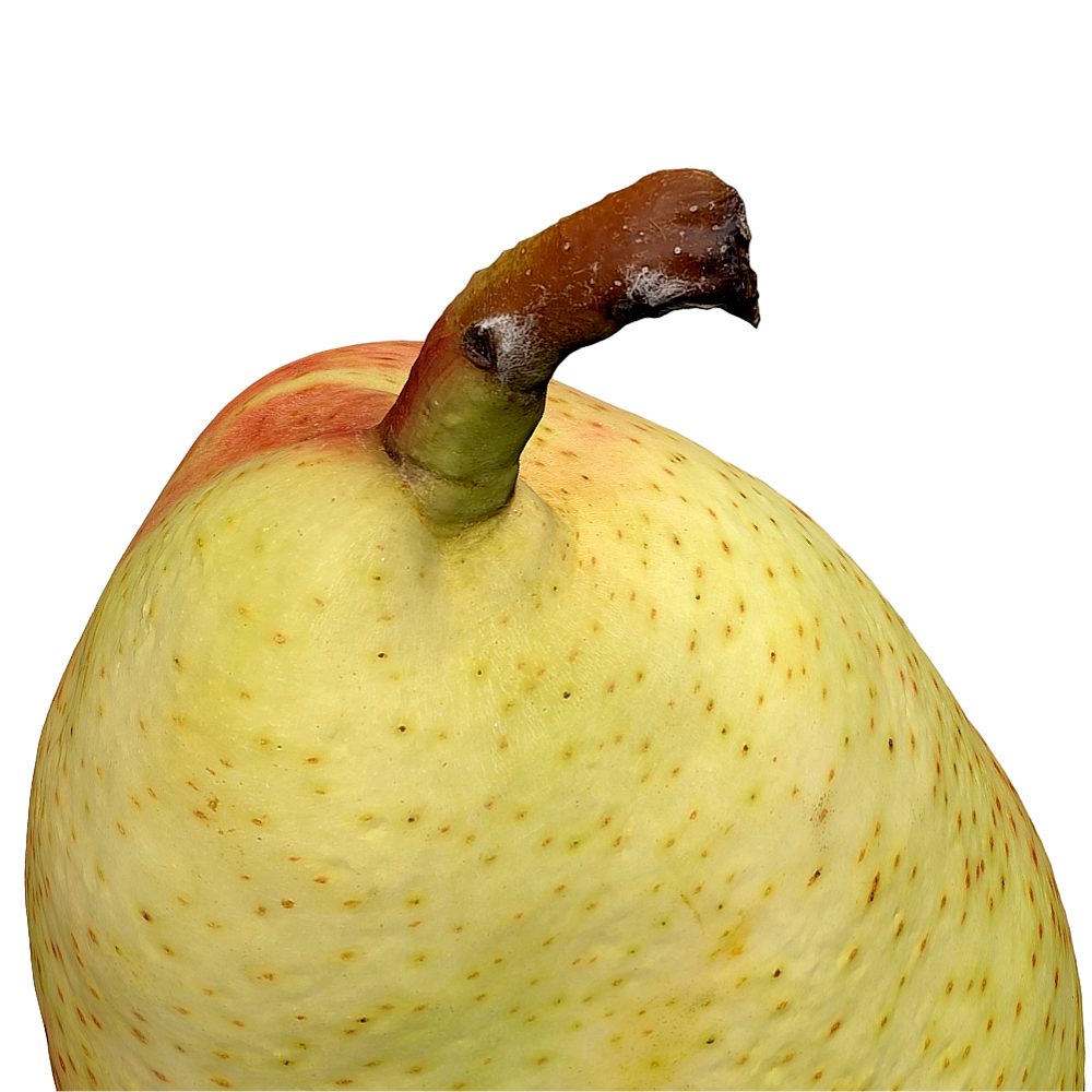 梨子 | 3D扫描,水果,梨子3D模型,梨子,3D水果模型,AR水果,雪梨,3D模型,3D打印,3D素材,obj,glTF,fbx,dae,stl,3ds,glb,usdz,3dmax,blender模型,VisionPro,3D建模,3D扫描,3d打印模型