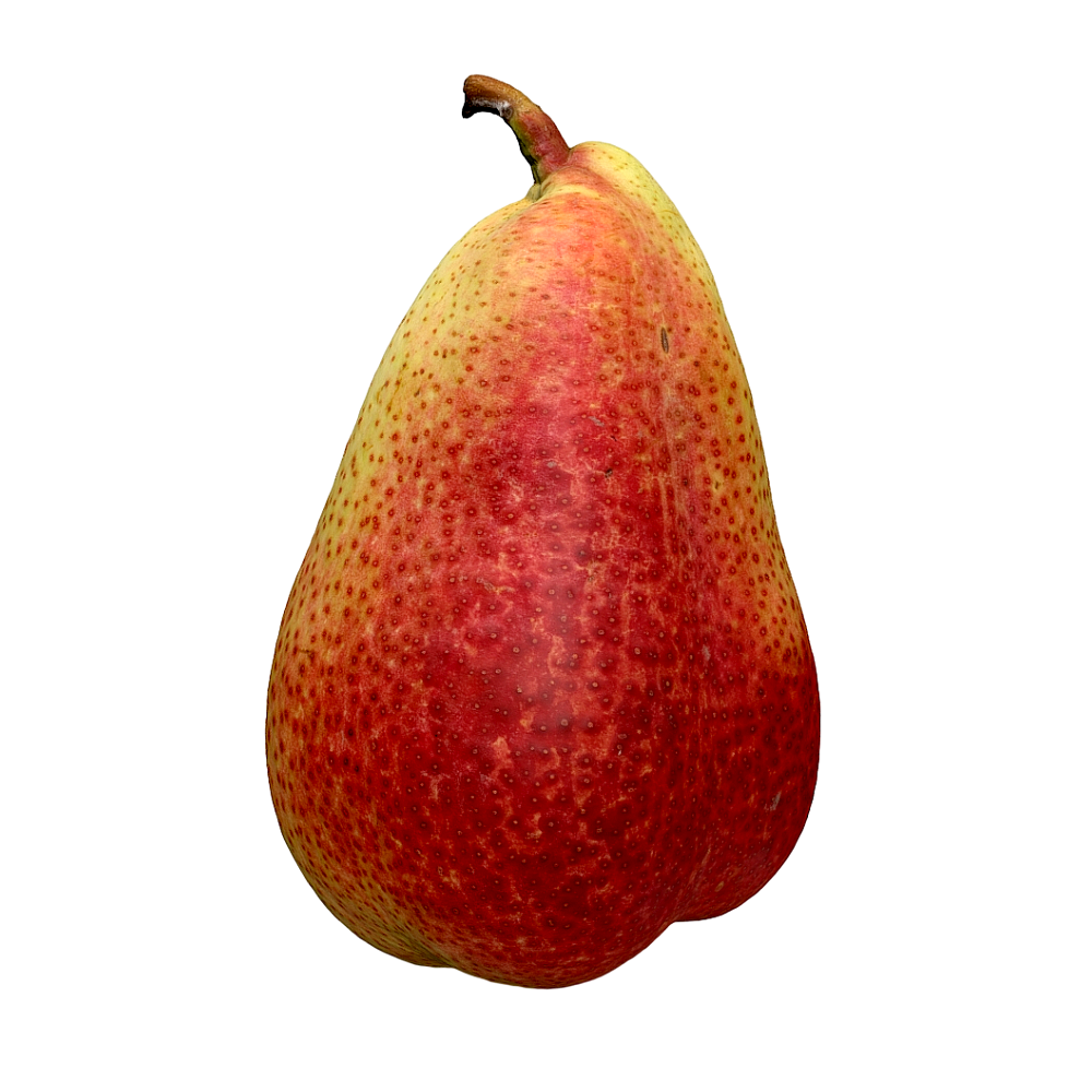 梨子 | 3D扫描,水果,梨子3D模型,梨子,3D水果模型,AR水果,雪梨,3D模型,3D打印,3D素材,obj,glTF,fbx,dae,stl,3ds,glb,usdz,3dmax,blender模型,VisionPro,3D建模,3D扫描,3d打印模型