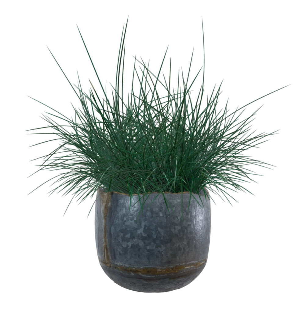 花盆里的草 | 盆栽,植物,草,花盆,绿植,室内植物,桌面绿植,花草,植物摆件,3D模型,3D打印,3D素材,obj,glTF,fbx,dae,stl,3ds,glb,usdz,3dmax,blender模型,VisionPro,3D建模,3D扫描,3d打印模型