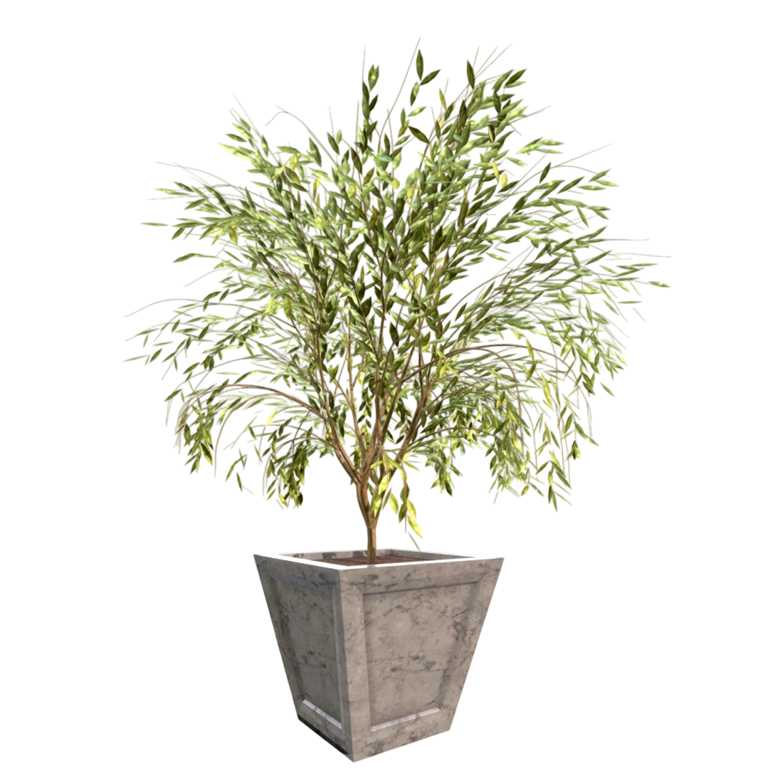 种在石质花盆里的橄榄树盆栽 | 盆栽,花盆,橄榄树,3D模型,3D打印,3D素材,obj,glTF,fbx,dae,stl,3ds,glb,usdz,3dmax,blender模型,VisionPro,3D建模,3D扫描,3d打印模型