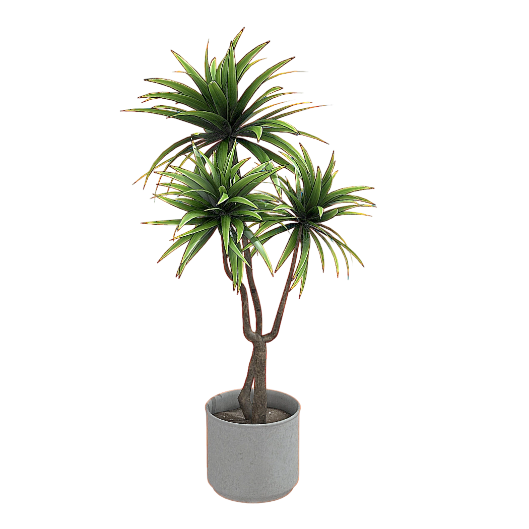 龙血树盆栽 | 盆栽,植物,绿植,室内盆栽,室内植物,盆栽绿植,室内绿植,龙血树盆栽,龙血树,3D模型,3D打印,3D素材,obj,glTF,fbx,dae,stl,3ds,glb,usdz,3dmax,blender模型,VisionPro,3D建模,3D扫描,3d打印模型