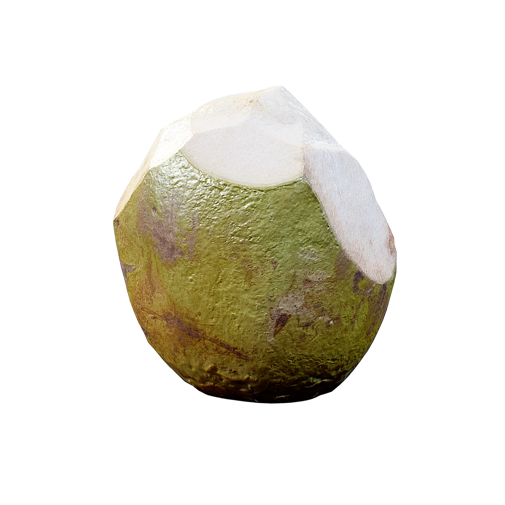 青椰子 | 水果,椰子,椰子3D模型,椰青,青椰子,椰果,3D模型,3D打印,3D素材,obj,glTF,fbx,dae,stl,3ds,glb,usdz,3dmax,blender模型,VisionPro,3D建模,3D扫描,3d打印模型