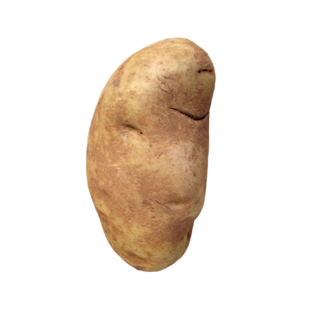 土豆（马铃薯）