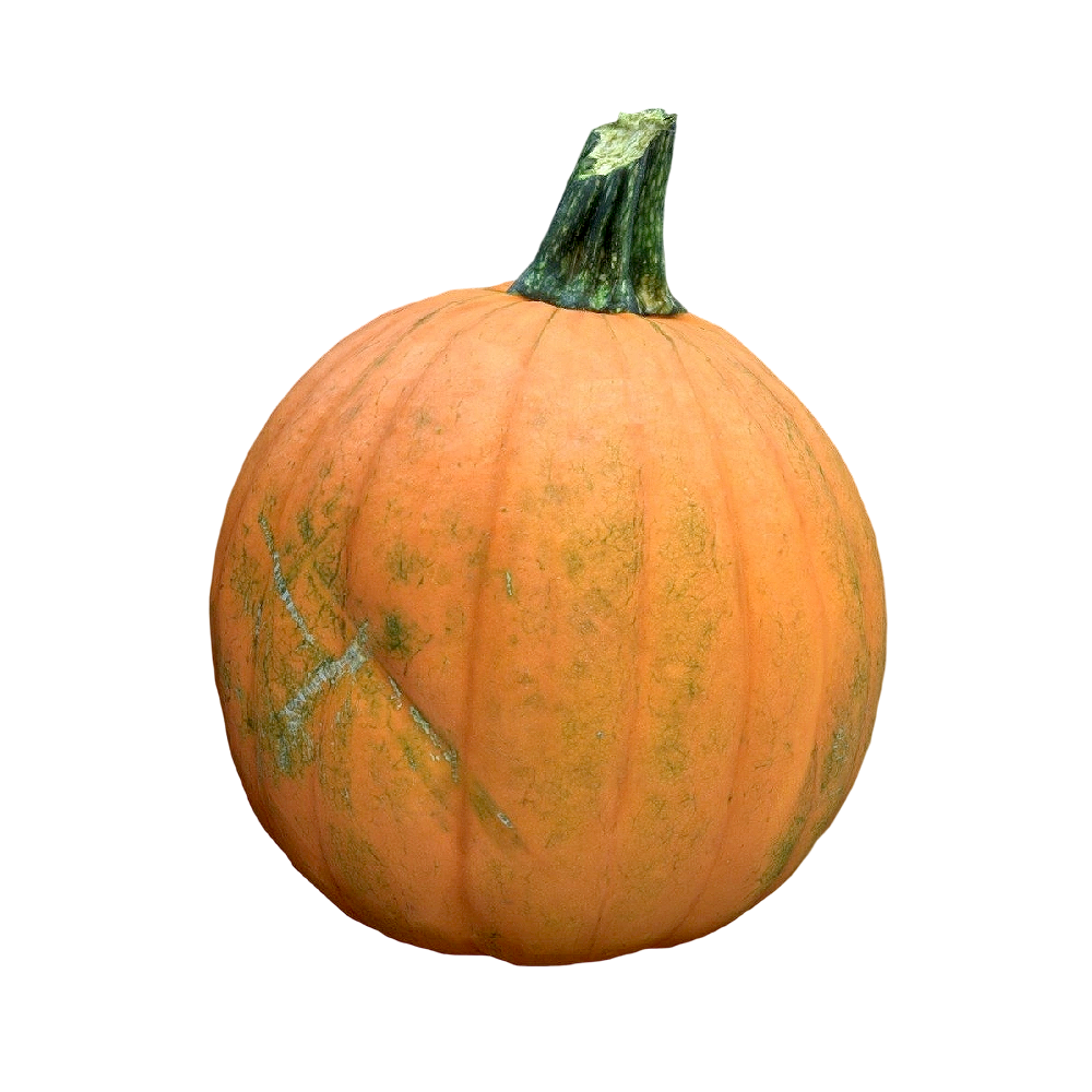 南瓜 | 蔬菜,南瓜,南瓜3D,3D模型,3D打印,3D素材,obj,glTF,fbx,dae,stl,3ds,glb,usdz,3dmax,blender模型,VisionPro,3D建模,3D扫描,3d打印模型