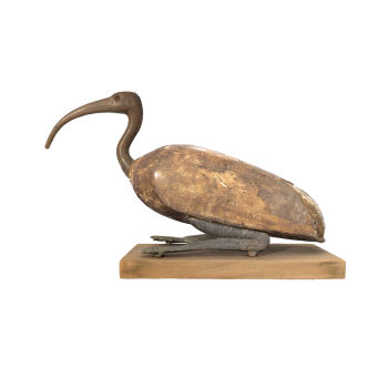 古埃及的朱鹭神像（木乃伊）