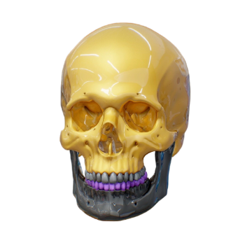 金色的人类头骨模型
