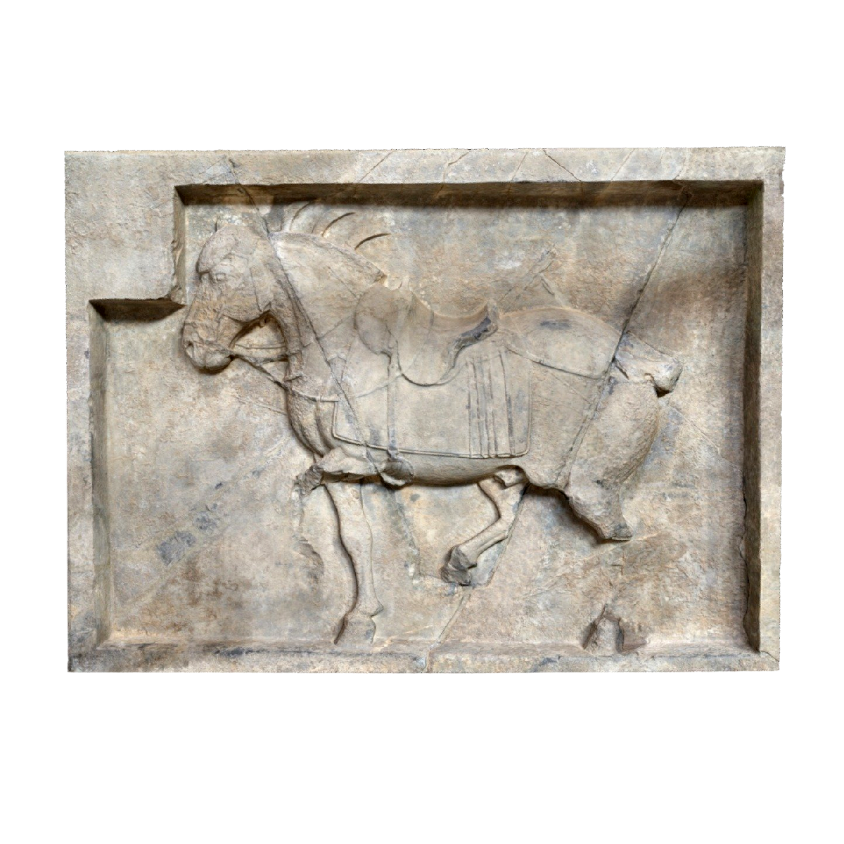 昭陵六骏石刻浮雕 | 石雕,唐代文物,唐朝,昭陵六骏,石刻浮雕,唐太宗,宾夕法尼亚大学博物馆,西安碑林博物馆,拳毛騧,李世民,3D模型,3D打印,3D素材,obj,glTF,fbx,dae,stl,3ds,glb,usdz,3dmax,blender模型,VisionPro,3D建模,3D扫描,3d打印模型