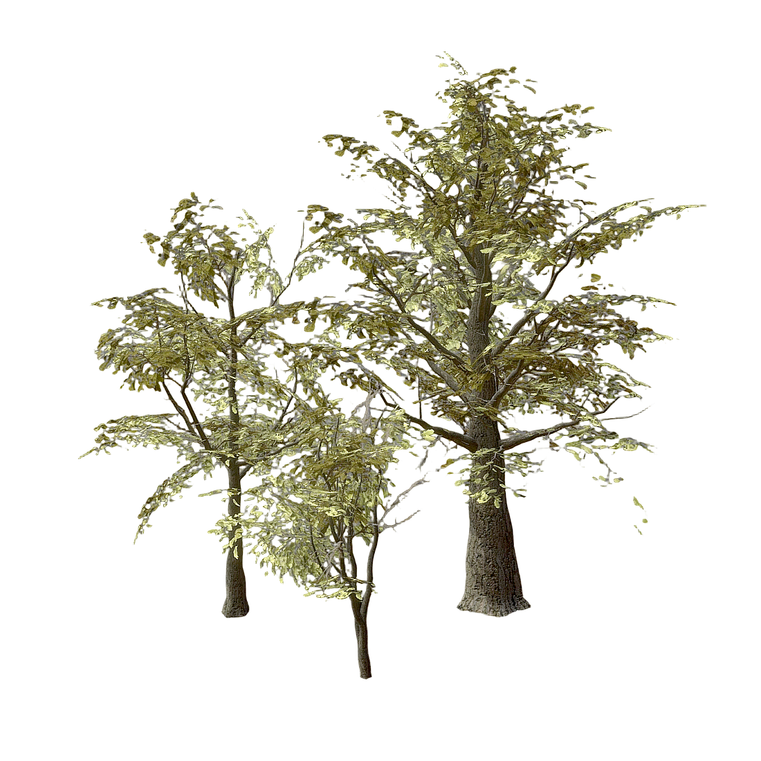 写实阔叶树木橡树园林景观3D模型 | 园林景观,橡树,绿化植物,树木模型,阔叶树,建筑外景,植物组合,户外大树,写实树木,园林绿化,3D模型,3D打印,3D素材,obj,glTF,fbx,dae,stl,3ds,glb,usdz,3dmax,blender模型,VisionPro,3D建模,3D扫描,3d打印模型