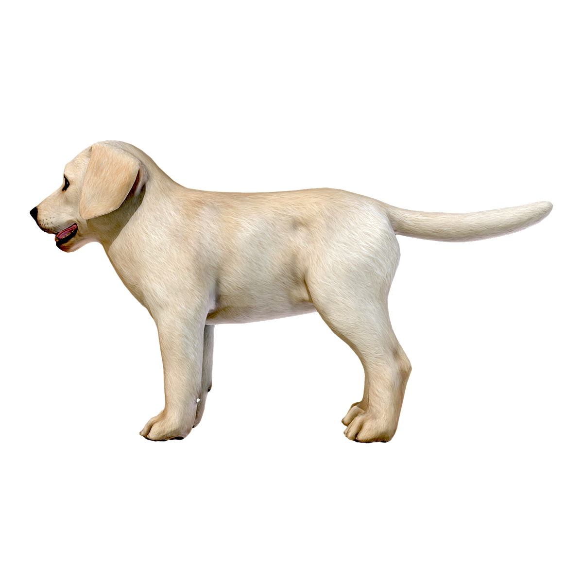 拉布拉多寻回犬（幼犬） | 小狗,拉布拉多,幼犬,宠物狗,拉布拉多寻回犬,拉布拉多猎犬,宠物犬品种,世界十大名犬,常见的警犬品种,中国搜救犬主要种类,3D模型,3D打印,3D素材,obj,glTF,fbx,dae,stl,3ds,glb,usdz,3dmax,blender模型,VisionPro,3D建模,3D扫描,3d打印模型