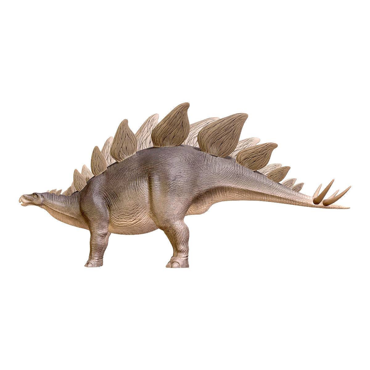 剑龙 | 侏罗纪,剑龙,骨板龙,知名度高的恐龙,《侏罗纪公园》,蜥脚类恐龙,十大植食性恐龙,“带屋顶的爬行动物”,世界恐龙之最,剑龙图片,3D模型,3D打印,3D素材,obj,glTF,fbx,dae,stl,3ds,glb,usdz,3dmax,blender模型,VisionPro,3D建模,3D扫描,3d打印模型