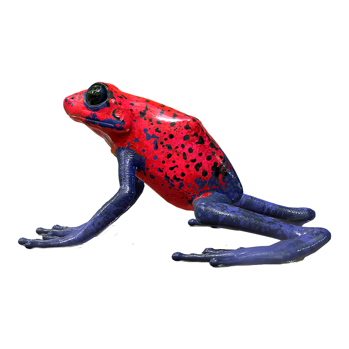 火红箭毒蛙 | 十大动物杀手,毒箭蛙,毒标枪蛙,火红箭毒蛙,草莓箭毒蛙,暗藏“化学武器”的动物,火红箭毒蛙图片,箭毒蛙图片,火红丛蛙,丛蛙,3D模型,3D打印,3D素材,obj,glTF,fbx,dae,stl,3ds,glb,usdz,3dmax,blender模型,VisionPro,3D建模,3D扫描,3d打印模型