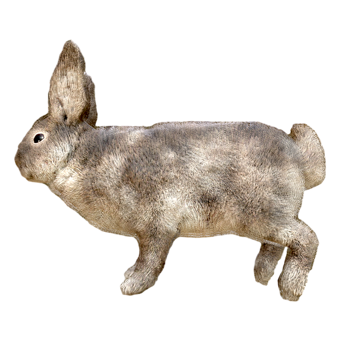 毛茸茸的兔子 | 食草动物,兔子,野兔,穴居动物,《国家畜禽遗传资源目录》,性欲旺盛的动物,草食性脊椎动物,穴兔,旷兔,兔子图片,3D模型,3D打印,3D素材,obj,glTF,fbx,dae,stl,3ds,glb,usdz,3dmax,blender模型,VisionPro,3D建模,3D扫描,3d打印模型