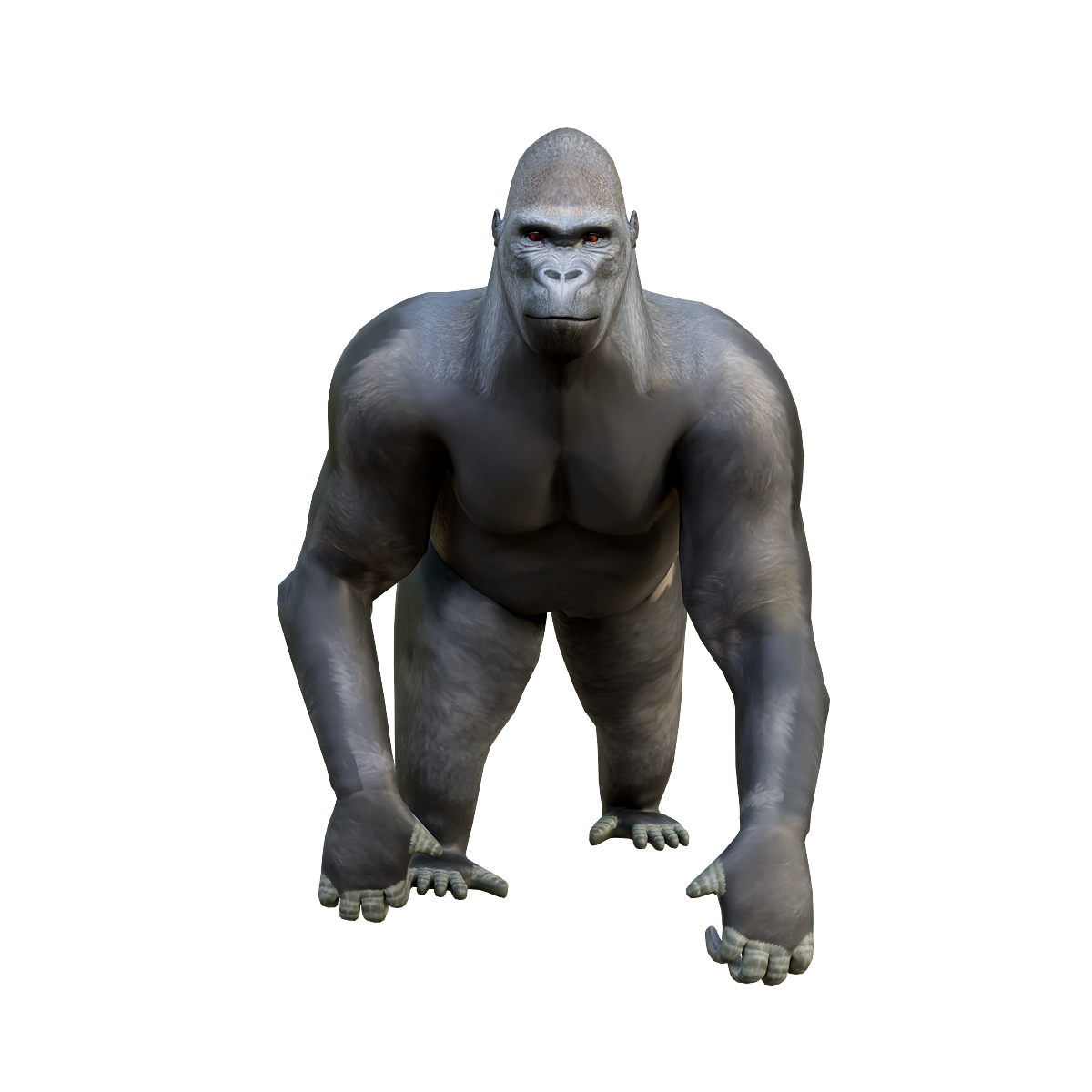大猩猩 | 动物模型,食草动物,哺乳动物,大猩猩,灵长目,人科,Gorilla,体型雄壮,体型最大的灵长类动物,大猩猩3D模型,3D模型,3D打印,3D素材,obj,glTF,fbx,dae,stl,3ds,glb,usdz,3dmax,blender模型,VisionPro,3D建模,3D扫描,3d打印模型