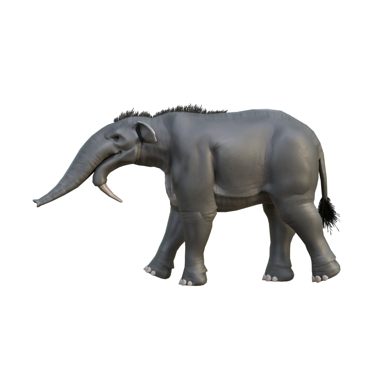 带动作的恐象3D模型 | 史前哺乳动物,Deinotherium,恐象,长鼻目,四足动物,体型庞大,大象3D模型,恐象3D动画,独特的下弯长牙,化石在非洲、亚洲和欧洲都有发现,3D模型,3D打印,3D素材,obj,glTF,fbx,dae,stl,3ds,glb,usdz,3dmax,blender模型,VisionPro,3D建模,3D扫描,3d打印模型