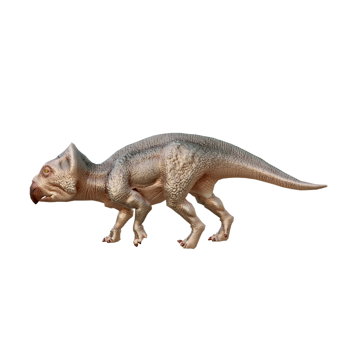 纤角龙（带3D动画模型） | 恐龙3D模型,远古生物,小型恐龙,食草恐龙,角龙下目,晚白垩纪,恐龙3D动画,四足恐龙,纤角龙,锋利的喙状嘴,3D模型,3D打印,3D素材,obj,glTF,fbx,dae,stl,3ds,glb,usdz,3dmax,blender模型,VisionPro,3D建模,3D扫描,3d打印模型