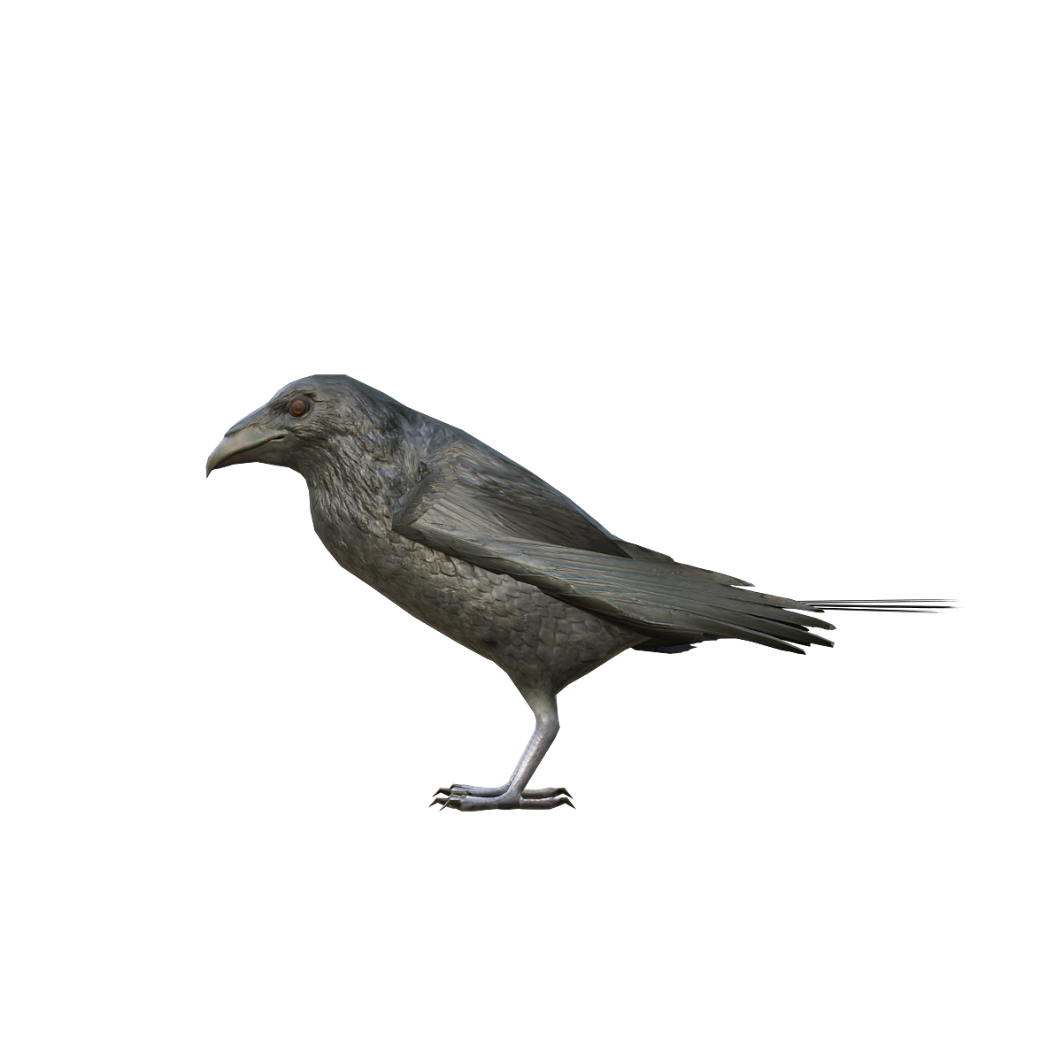 乌鸦3D模型带动画glb | 鸟类,杂食动物,社会性动物,乌鸦,乌鸦3D模型,飞行动物,适应性强,非常聪明,glb格式,乌鸦3D动画,3D模型,3D打印,3D素材,obj,glTF,fbx,dae,stl,3ds,glb,usdz,3dmax,blender模型,VisionPro,3D建模,3D扫描,3d打印模型