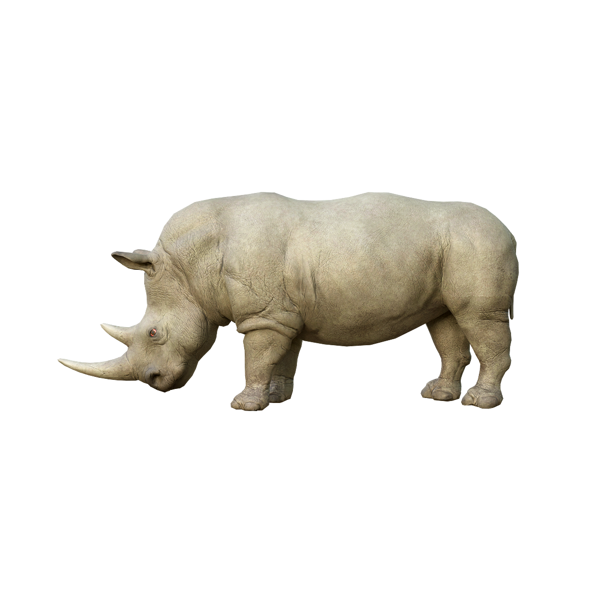 犀牛3D模型带动画