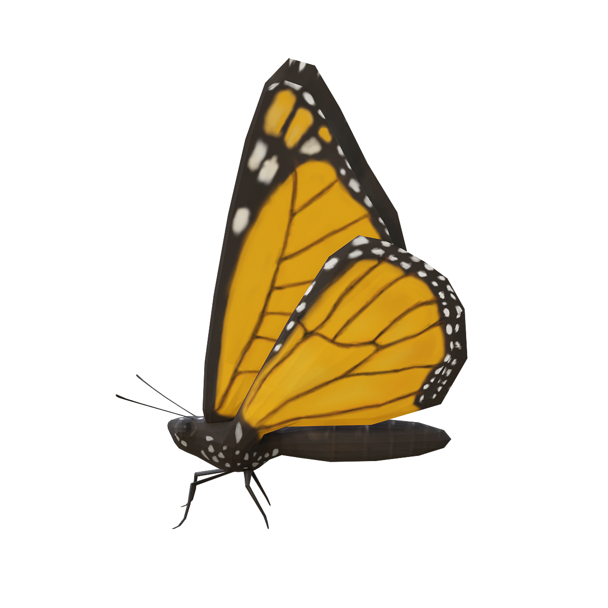 帝王蝶飞行3D动画模型 | 昆虫,节肢动物,黑脉金斑蝶,蝴蝶,体型较大,植食动物,迁徙习性,帝王蝶3D模型,帝王蝶飞行3D动画模型,颜色鲜艳,3D模型,3D打印,3D素材,obj,glTF,fbx,dae,stl,3ds,glb,usdz,3dmax,blender模型,VisionPro,3D建模,3D扫描,3d打印模型