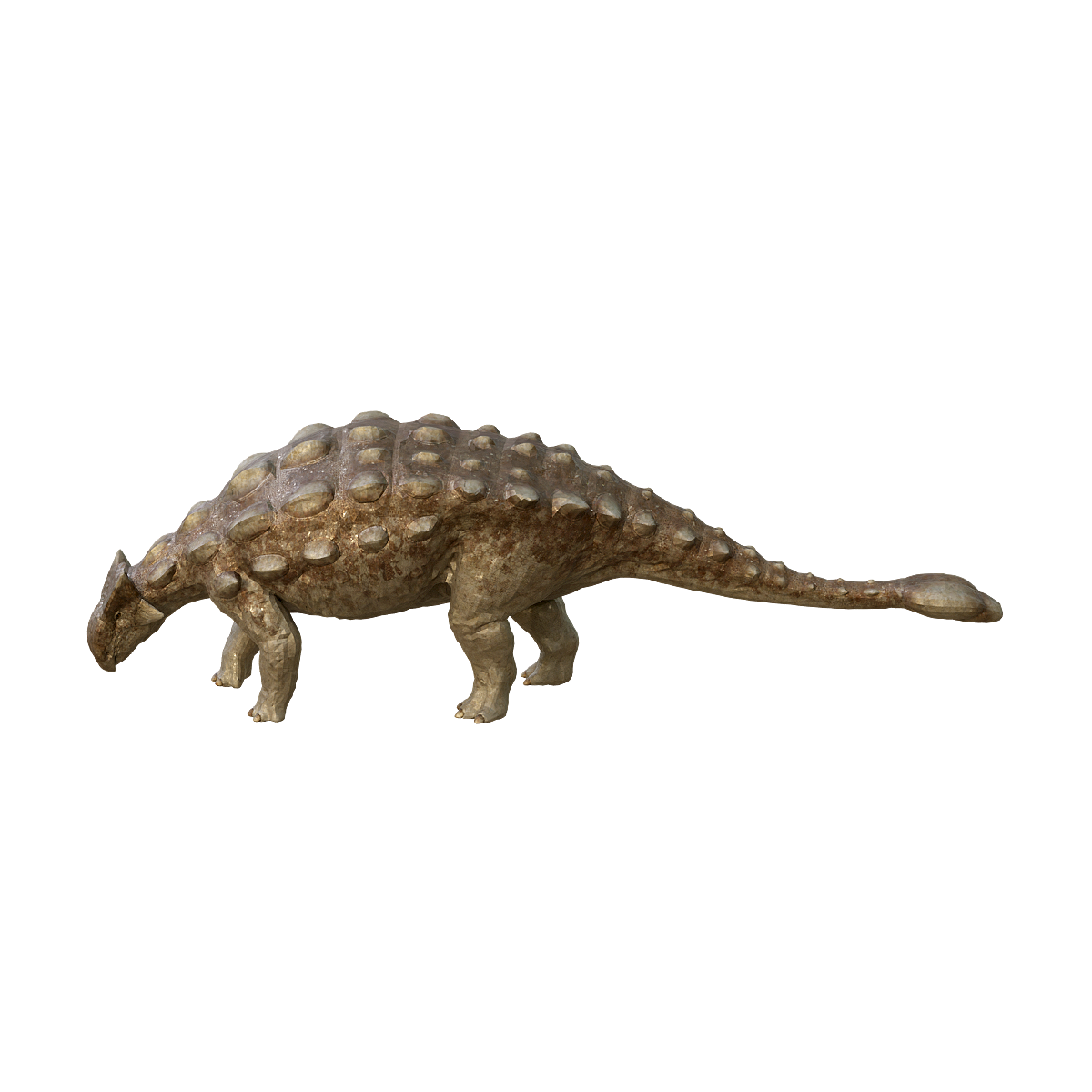 甲龙3D模型动画