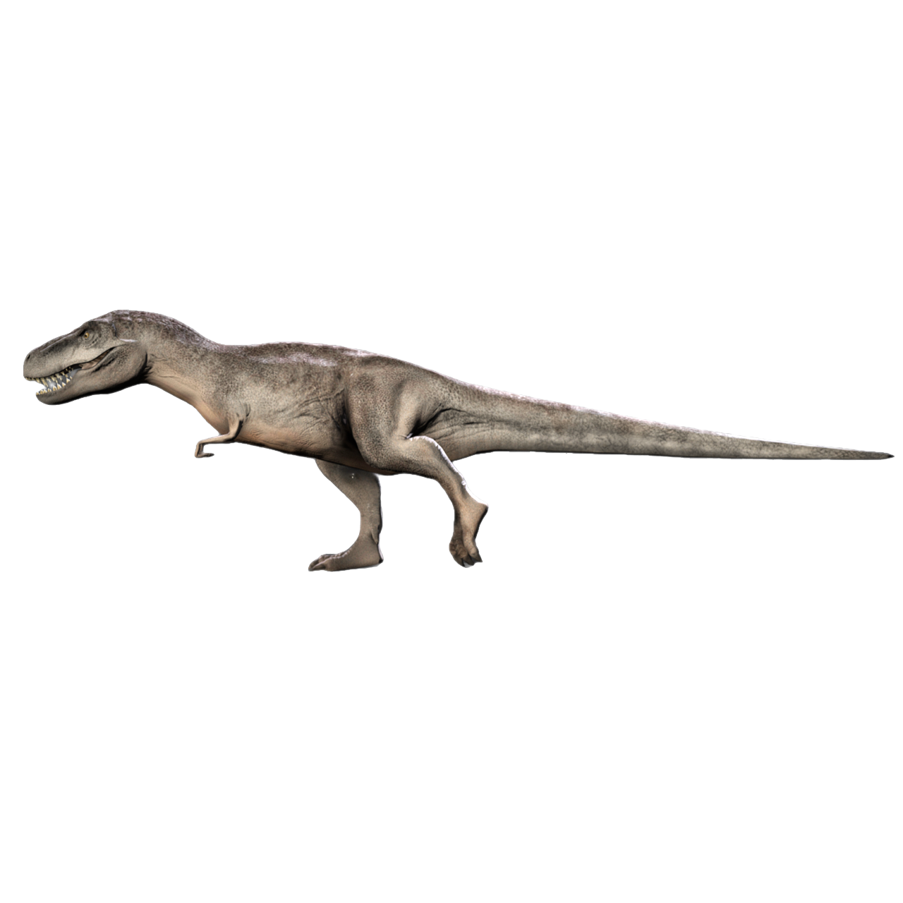 游戏《侏罗纪世界：进化》中的：暴龙 | 生物,恐龙,暴龙,霸王龙,侏罗纪世界,游戏生物,侏罗纪世界：进化,游戏恐龙,游戏生物3D模型,暴龙科,3D模型,3D打印,3D素材,obj,glTF,fbx,dae,stl,3ds,glb,usdz,3dmax,blender模型,VisionPro,3D建模,3D扫描,3d打印模型