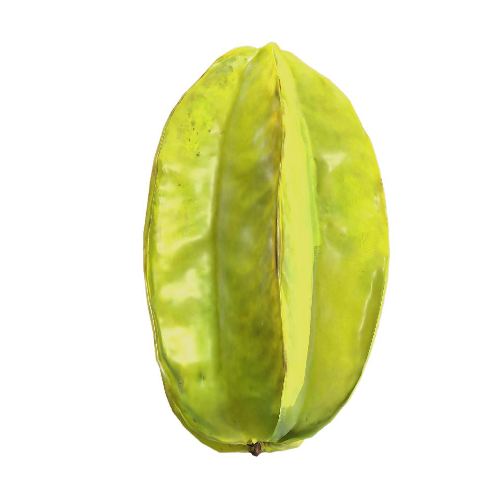 杨桃 | 果实,植物,水果,乔木,常绿灌木,杨桃,AverrhoaCarambola,酢浆草科,洋桃,阳桃,3D模型,3D打印,3D素材,obj,glTF,fbx,dae,stl,3ds,glb,usdz,3dmax,blender模型,VisionPro,3D建模,3D扫描,3d打印模型