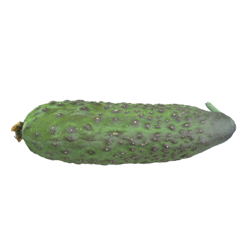 黄瓜