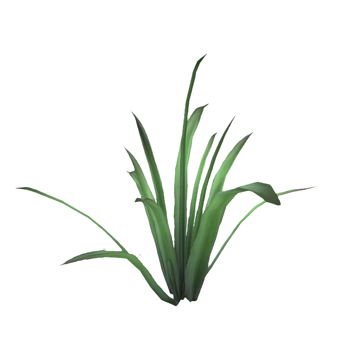 蓝铃花苗 | 花卉,植物,草本植物,花卉3D模型,被子植物,蓝铃花,风信子,HyacinthoidesNon-Scripta(L.)Chouard,球茎植物,花苗,3D模型,3D打印,3D素材,obj,glTF,fbx,dae,stl,3ds,glb,usdz,3dmax,blender模型,VisionPro,3D建模,3D扫描,3d打印模型