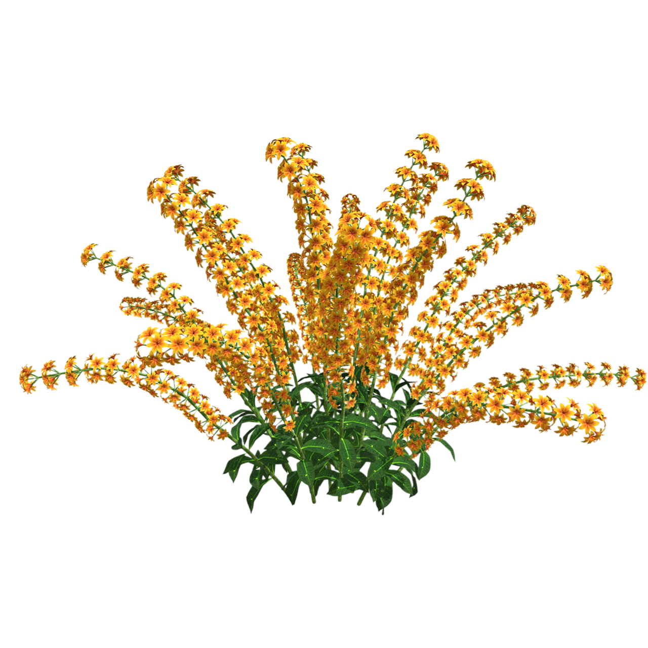 飞燕草 | 花卉,植物,草本植物,鲜花,花卉3D模型,被子植物,毛茛科,ConsolidaAjacis(Linn.)Schur,飞燕草,翠雀,3D模型,3D打印,3D素材,obj,glTF,fbx,dae,stl,3ds,glb,usdz,3dmax,blender模型,VisionPro,3D建模,3D扫描,3d打印模型