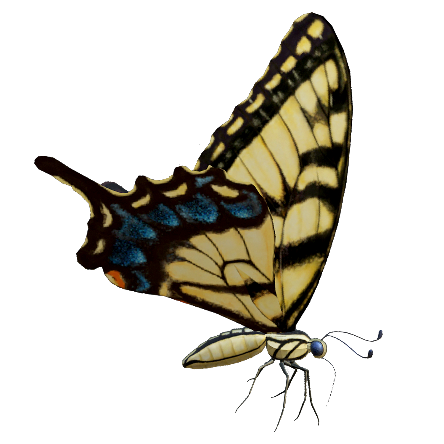 帝王蝴蝶 | 昆虫,动物3D模型,蝴蝶,君主斑蝶,帝王蝴蝶,蛱蝶科,蛱蝶,DanausPlexippus,MonarchButterfly,蝴蝶动画,3D模型,3D打印,3D素材,obj,glTF,fbx,dae,stl,3ds,glb,usdz,3dmax,blender模型,VisionPro,3D建模,3D扫描,3d打印模型