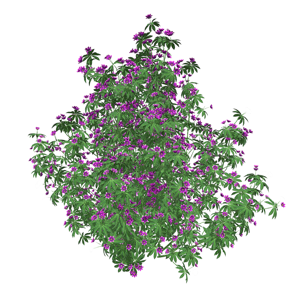 杜鹃花 | 花卉,植物,鲜花,花卉3D模型,杜鹃花,落叶灌木,杜鹃花科,被子植物,杜鹃,RhododendronSimsiiPlanch,3D模型,3D打印,3D素材,obj,glTF,fbx,dae,stl,3ds,glb,usdz,3dmax,blender模型,VisionPro,3D建模,3D扫描,3d打印模型
