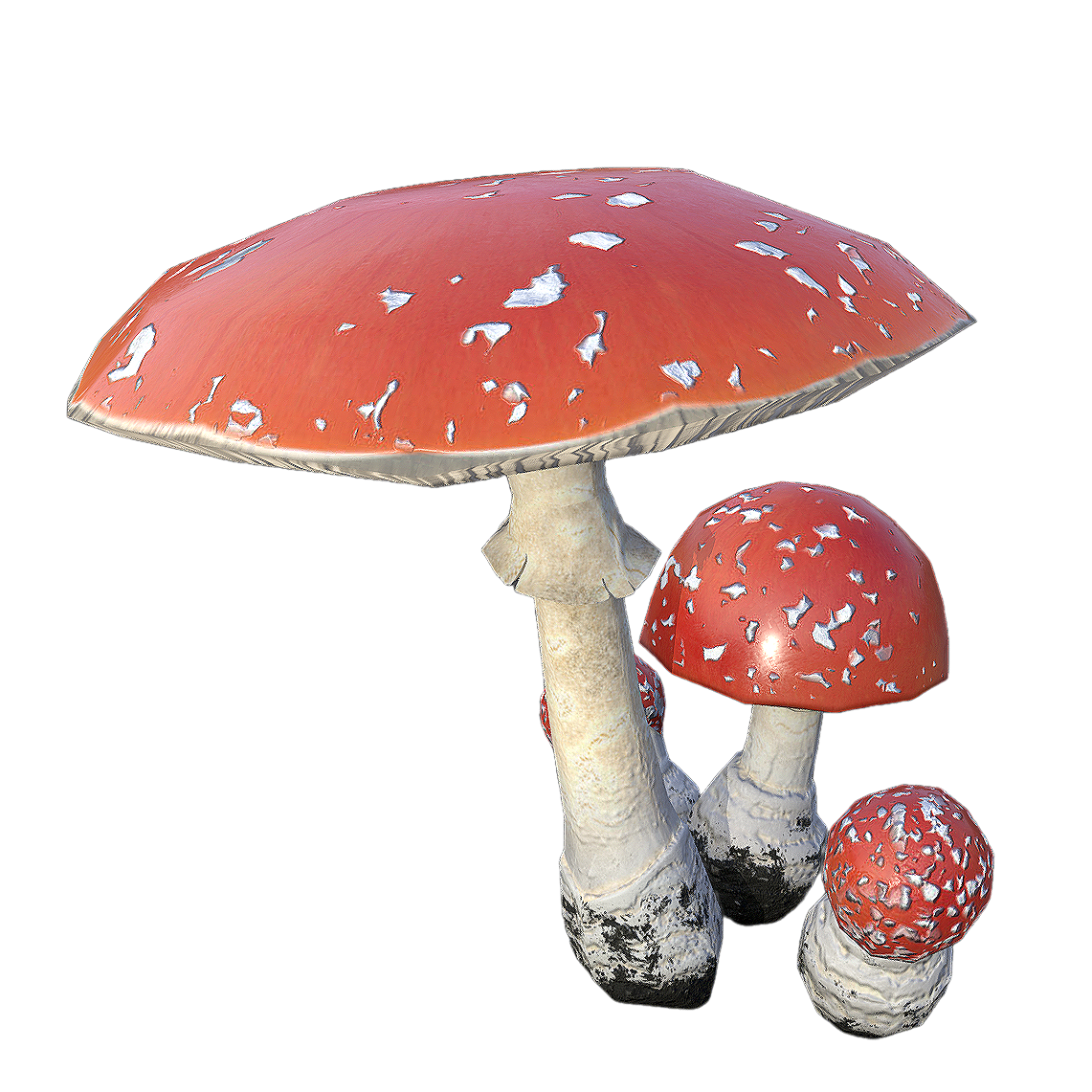 不同生长阶段的毒蝇伞 | 毒蘑菇,蘑菇3D模型,真菌,毒蝇伞,毒蝇鹅膏菌,蝇伞菌,鹅膏菌,鹅膏菌科,红蘑菇,Amanitamuscaria,3D模型,3D打印,3D素材,obj,glTF,fbx,dae,stl,3ds,glb,usdz,3dmax,blender模型,VisionPro,3D建模,3D扫描,3d打印模型