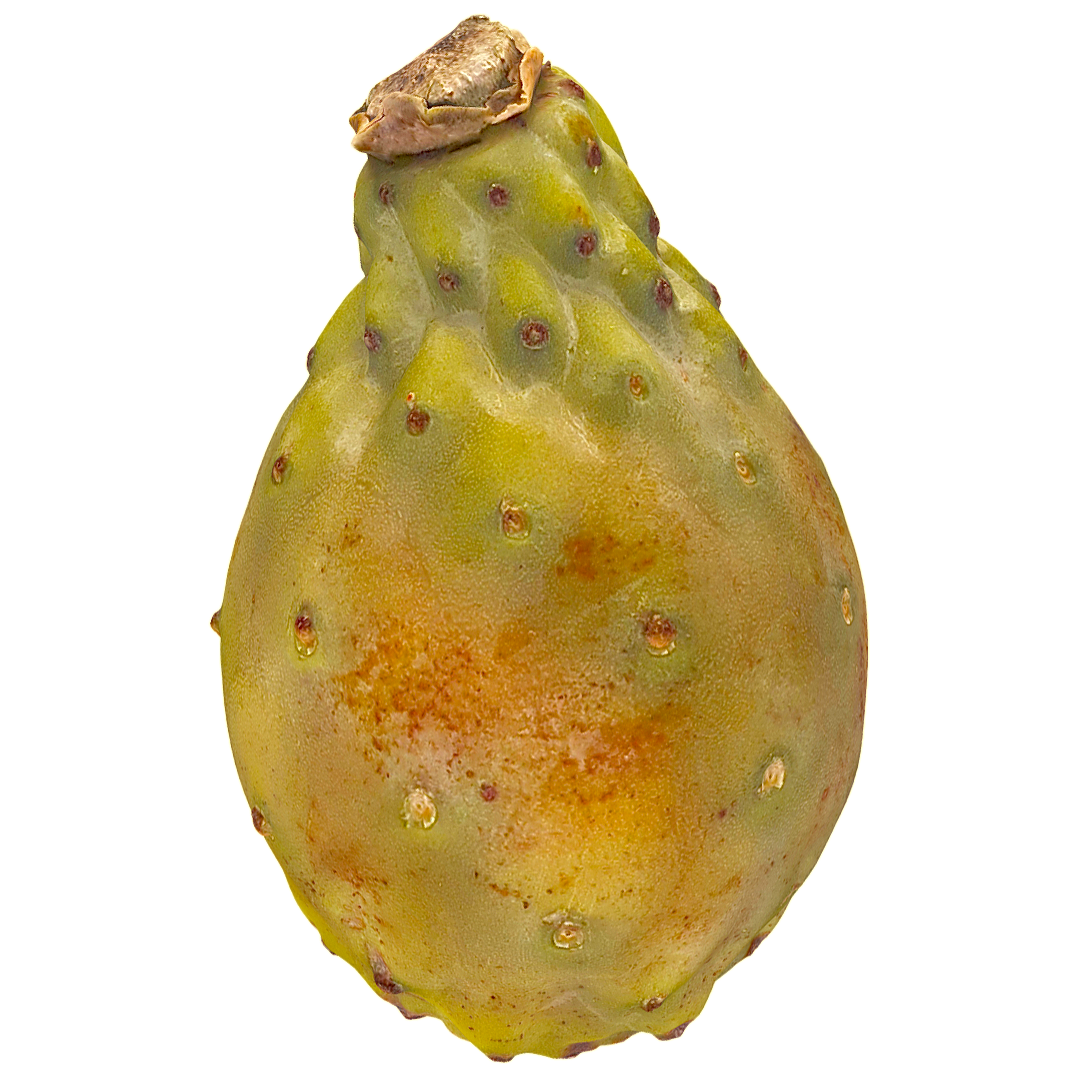 仙人掌果 | 果实,植物,水果,仙人掌,果实3D模型,仙人掌果,仙人掌果实,仙桃,仙掌子,观音掌,3D模型,3D打印,3D素材,obj,glTF,fbx,dae,stl,3ds,glb,usdz,3dmax,blender模型,VisionPro,3D建模,3D扫描,3d打印模型