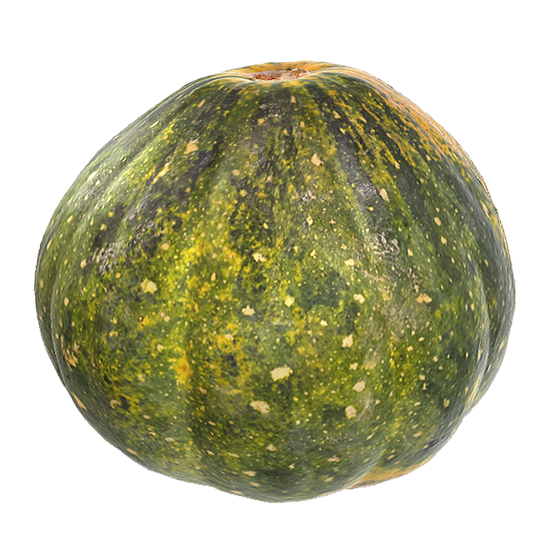 小南瓜 | 果实,蔬菜,果蔬,植物,瓜果,南瓜,蔬菜3D模型,农作物,葫芦科,小南瓜,3D模型,3D打印,3D素材,obj,glTF,fbx,dae,stl,3ds,glb,usdz,3dmax,blender模型,VisionPro,3D建模,3D扫描,3d打印模型