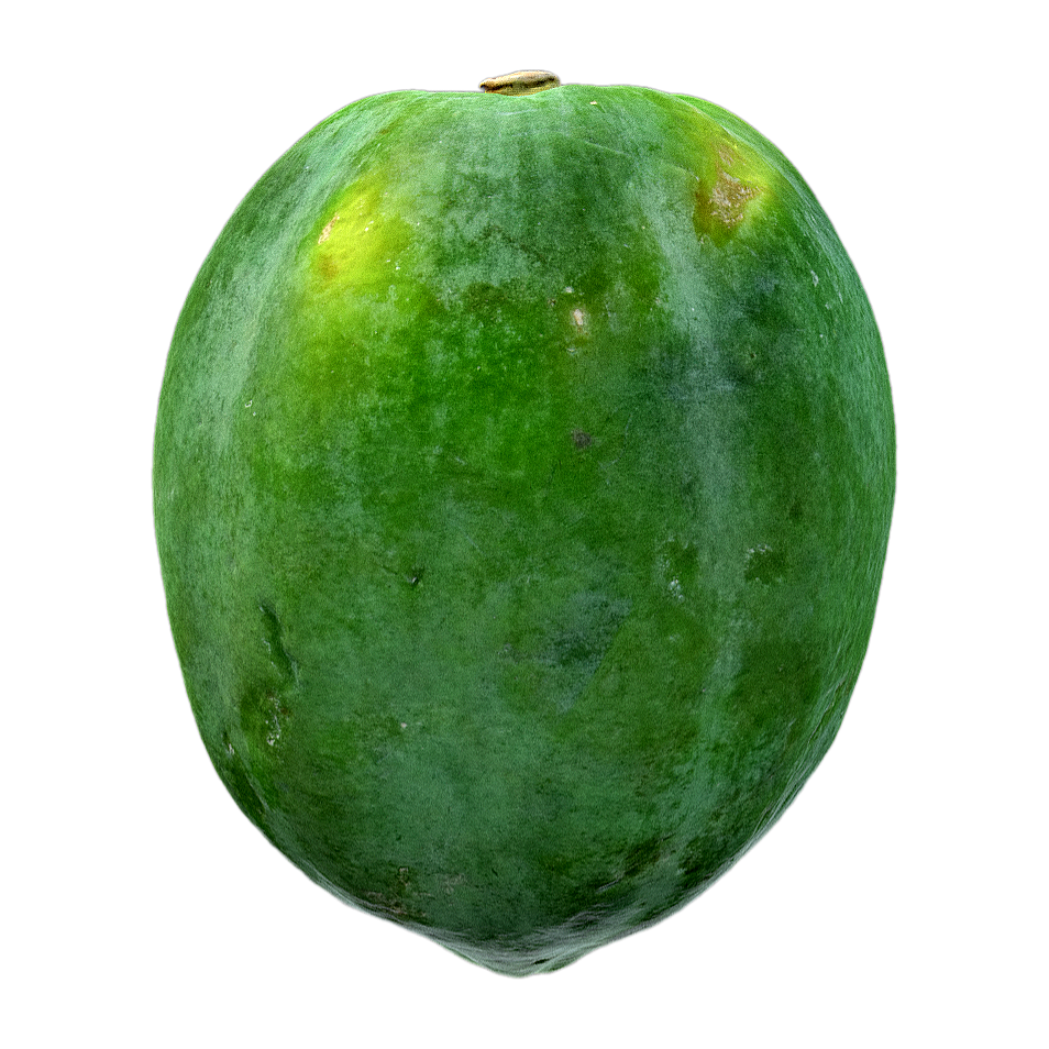 木瓜 | 果实,植物,水果,水果3D模型,木瓜,蔷薇科,小乔木,光皮木瓜,海棠,木李,3D模型,3D打印,3D素材,obj,glTF,fbx,dae,stl,3ds,glb,usdz,3dmax,blender模型,VisionPro,3D建模,3D扫描,3d打印模型