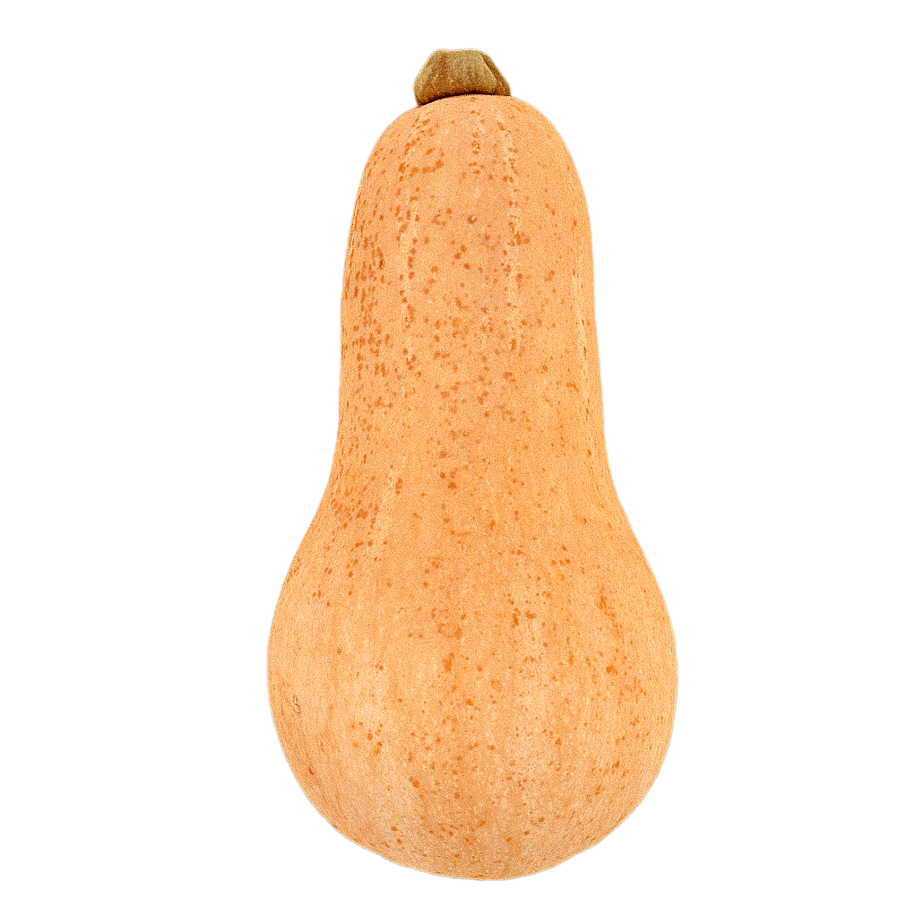 胡桃南瓜 | 果实,蔬菜,食物,果蔬,植物,瓜果,南瓜,蔬菜3D模型,农作物,胡桃南瓜,3D模型,3D打印,3D素材,obj,glTF,fbx,dae,stl,3ds,glb,usdz,3dmax,blender模型,VisionPro,3D建模,3D扫描,3d打印模型