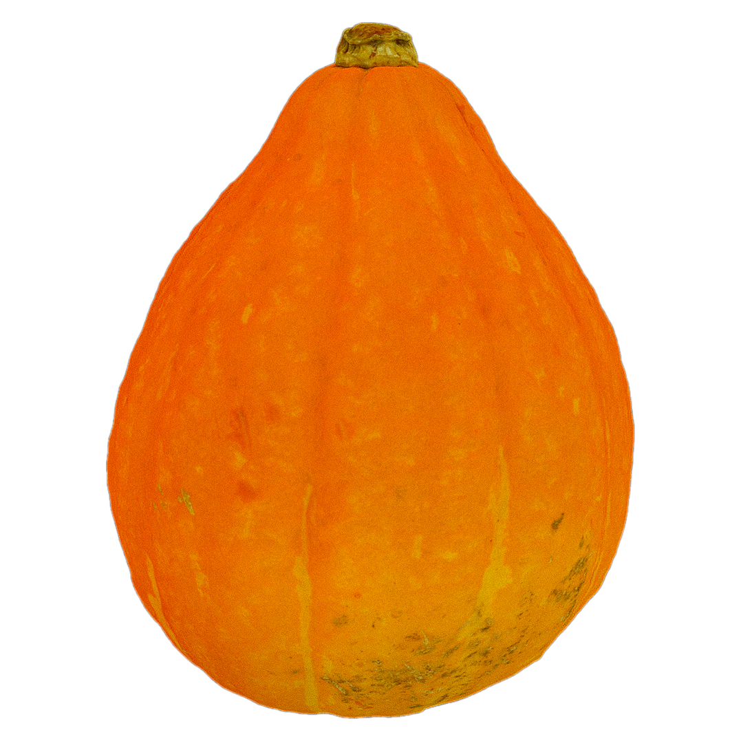 Korinky南瓜 | 果实,蔬菜,果蔬,植物,瓜果,南瓜,蔬菜3D模型,农作物,葫芦科,Korinky南瓜,3D模型,3D打印,3D素材,obj,glTF,fbx,dae,stl,3ds,glb,usdz,3dmax,blender模型,VisionPro,3D建模,3D扫描,3d打印模型
