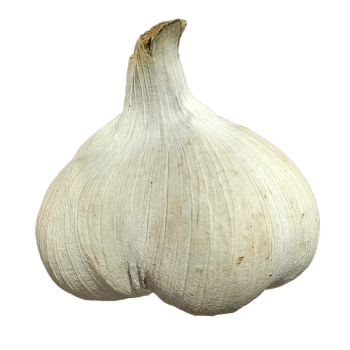 大蒜