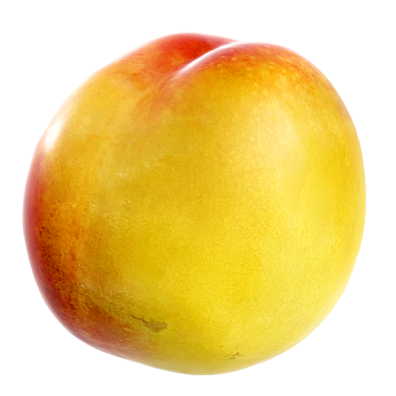 油桃3D模型 | 果实,食物,植物,水果,水果3D模型,桃子,桃,蔷薇科,油桃,李光桃,3D模型,3D打印,3D素材,obj,glTF,fbx,dae,stl,3ds,glb,usdz,3dmax,blender模型,VisionPro,3D建模,3D扫描,3d打印模型