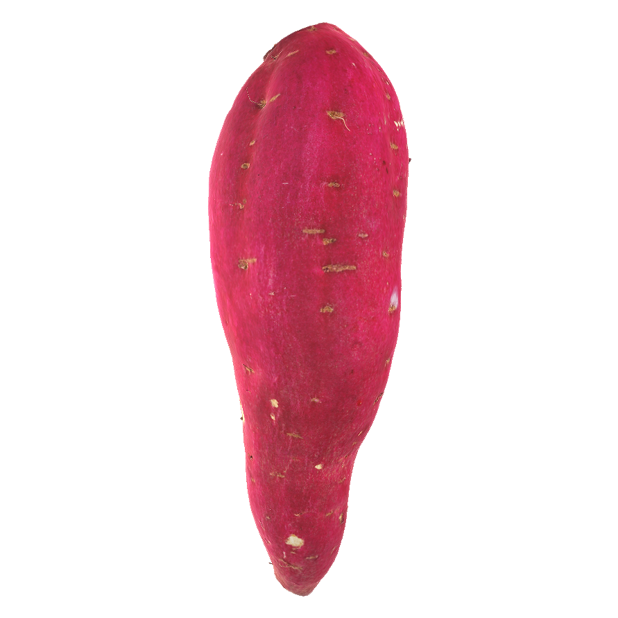 番薯 | 蔬菜,食物,植物,食材,蔬菜3D模型,红薯,番薯,旋花科,甜薯,地瓜,3D模型,3D打印,3D素材,obj,glTF,fbx,dae,stl,3ds,glb,usdz,3dmax,blender模型,VisionPro,3D建模,3D扫描,3d打印模型