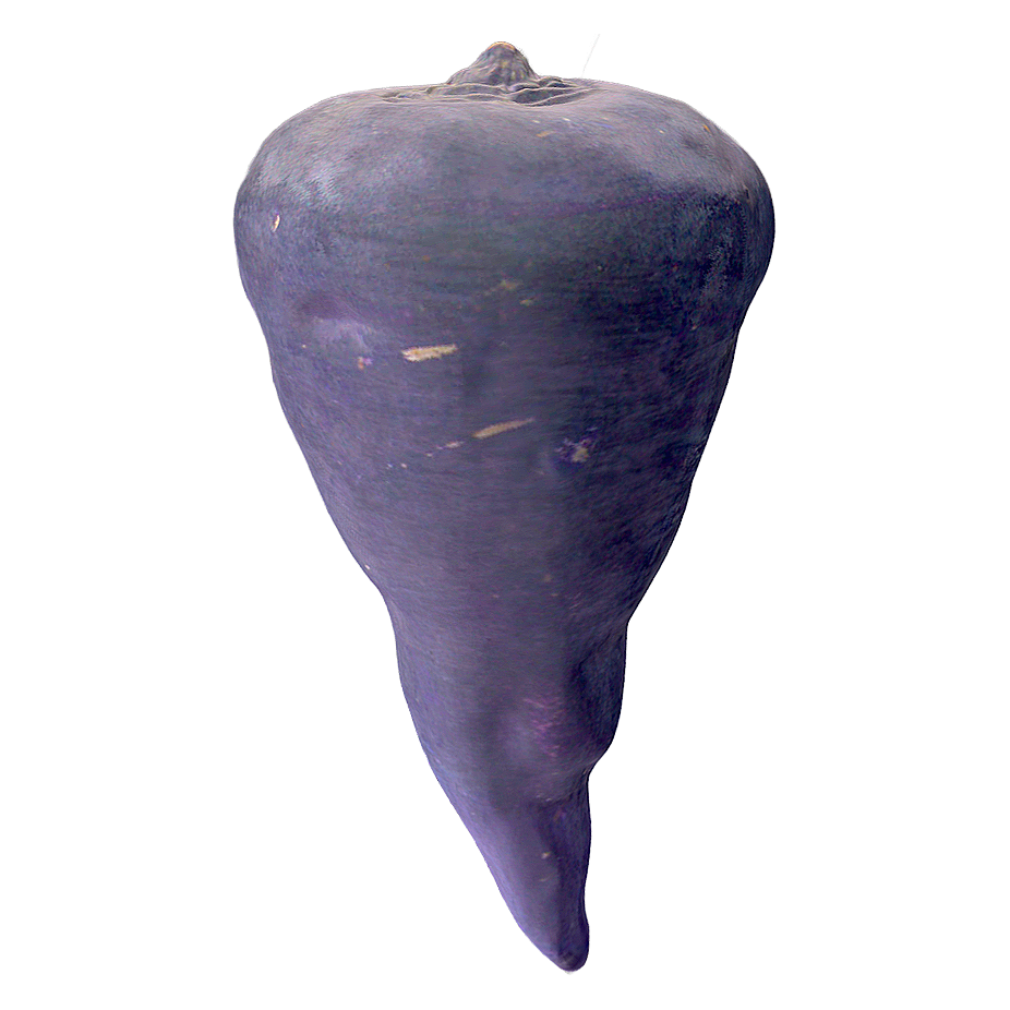 紫萝卜3D模型 | 蔬菜,植物,草本植物,食材,萝卜,蔬菜3D模型,农作物,紫萝卜,RaphanusSativusL.,紫红萝卜,3D模型,3D打印,3D素材,obj,glTF,fbx,dae,stl,3ds,glb,usdz,3dmax,blender模型,VisionPro,3D建模,3D扫描,3d打印模型