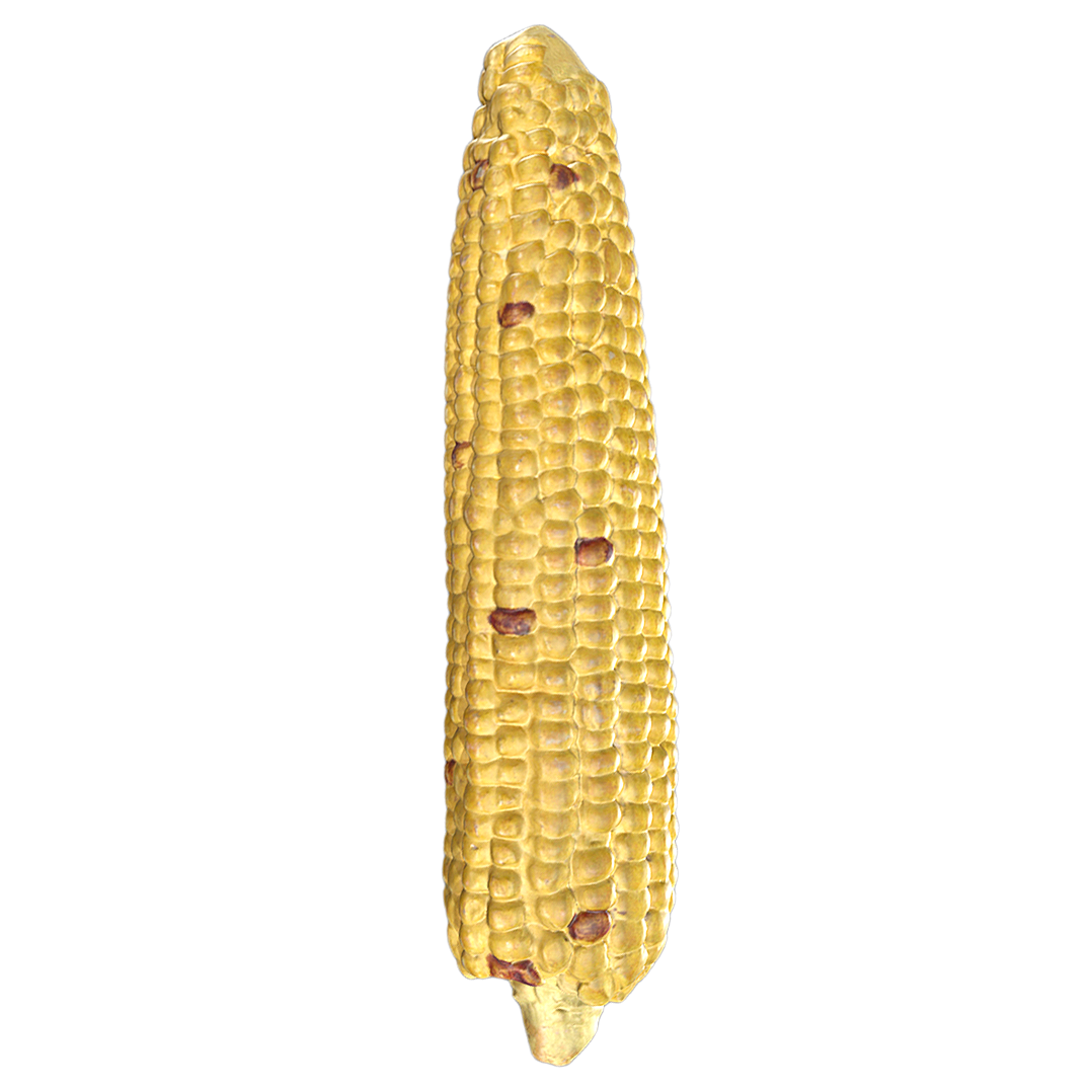 干玉米 | 植物,草本植物,食材,粮食,玉米,蔬菜3D模型,禾本科,干玉米,蜀黍,包谷,3D模型,3D打印,3D素材,obj,glTF,fbx,dae,stl,3ds,glb,usdz,3dmax,blender模型,VisionPro,3D建模,3D扫描,3d打印模型