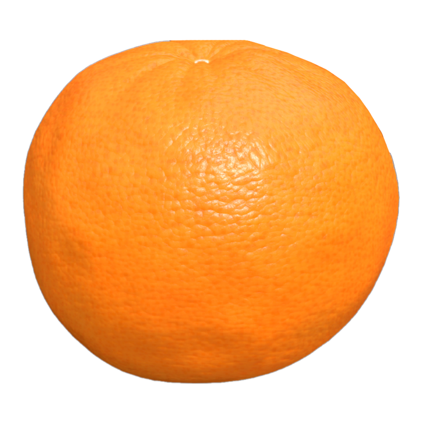 柑橘3D模型 | 果实,植物,水果,水果3D模型,芸香科,柑橘,橘子,CitrusReticulataBlanco,番橘,橘桔子,3D模型,3D打印,3D素材,obj,glTF,fbx,dae,stl,3ds,glb,usdz,3dmax,blender模型,VisionPro,3D建模,3D扫描,3d打印模型