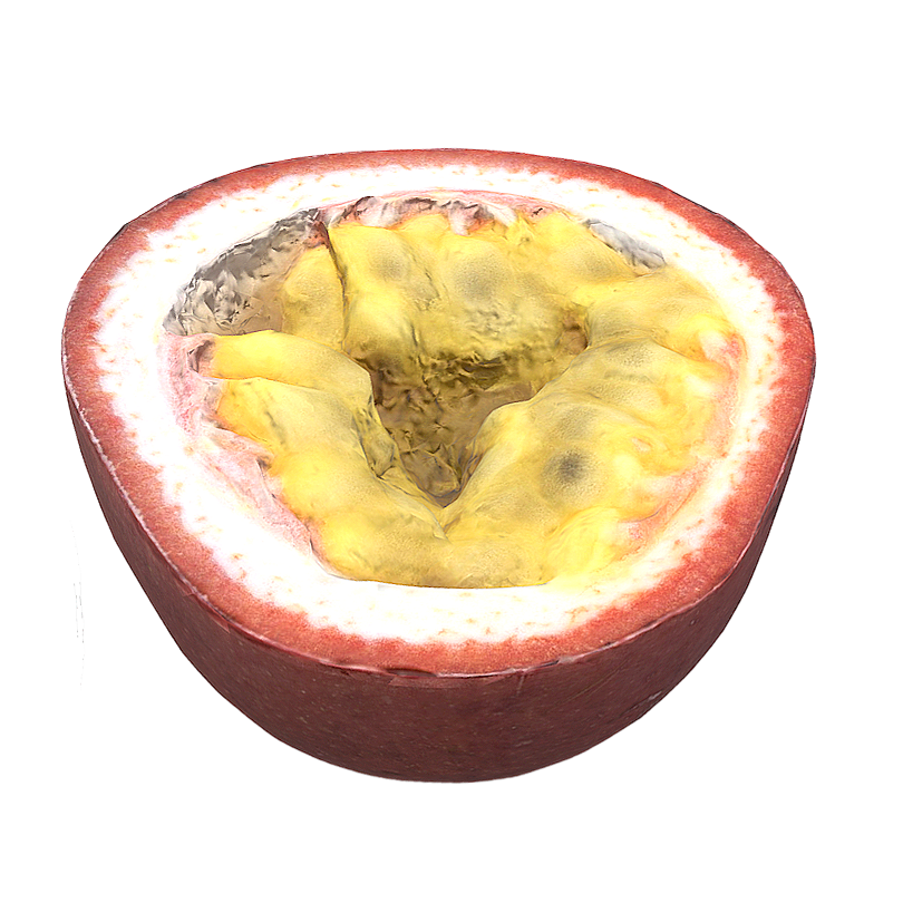 百香果 | 植物,水果,水果3D模型,藤本植物,PassifloraEdulisSims,百香果,鸡蛋果,西番莲科,紫果西番莲,洋石榴,3D模型,3D打印,3D素材,obj,glTF,fbx,dae,stl,3ds,glb,usdz,3dmax,blender模型,VisionPro,3D建模,3D扫描,3d打印模型